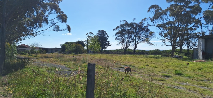 Commercial Property for Sale in Cove Ridge East Eastern Cape